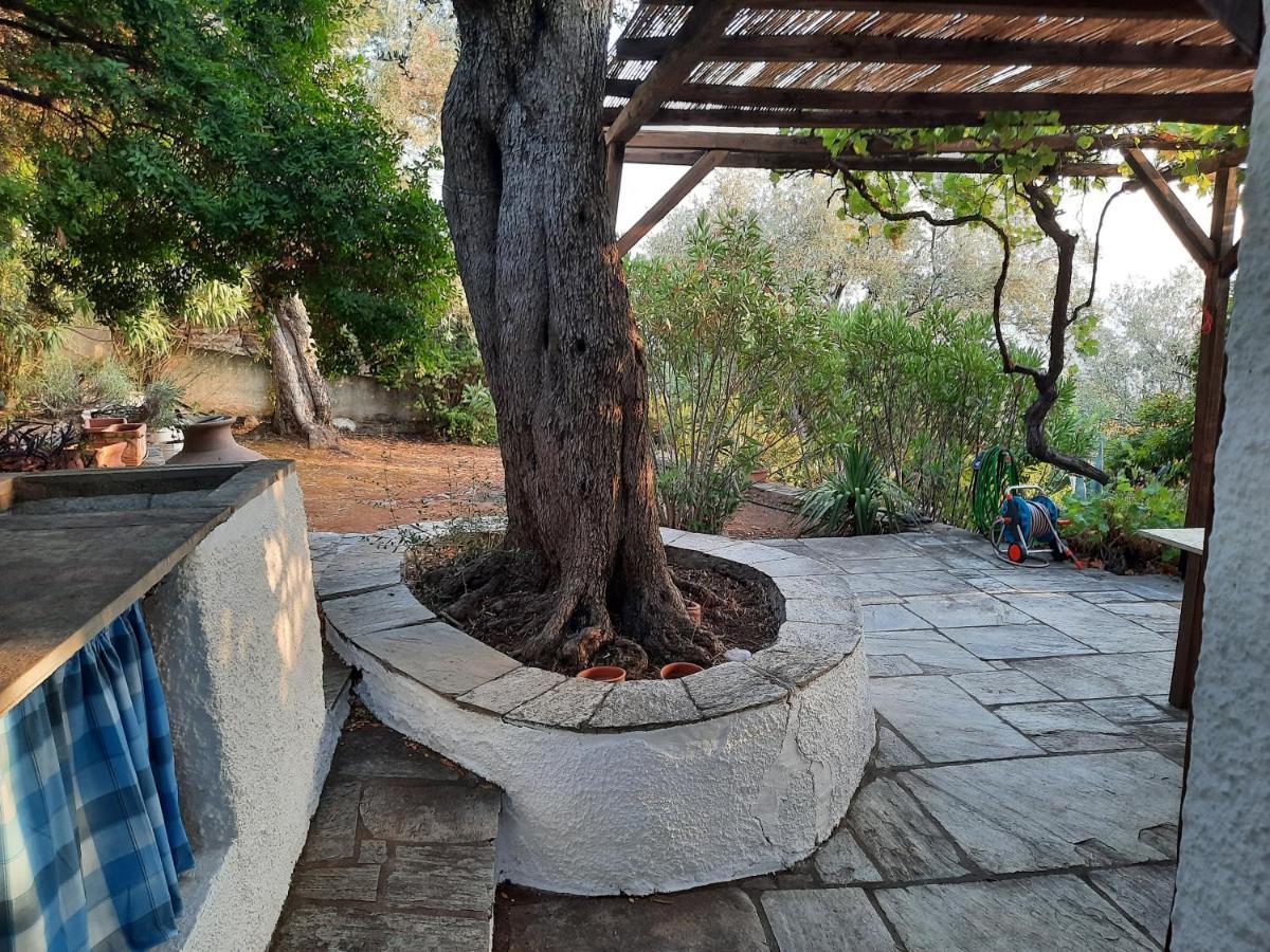 Villa Imelda Afissos Exterior photo