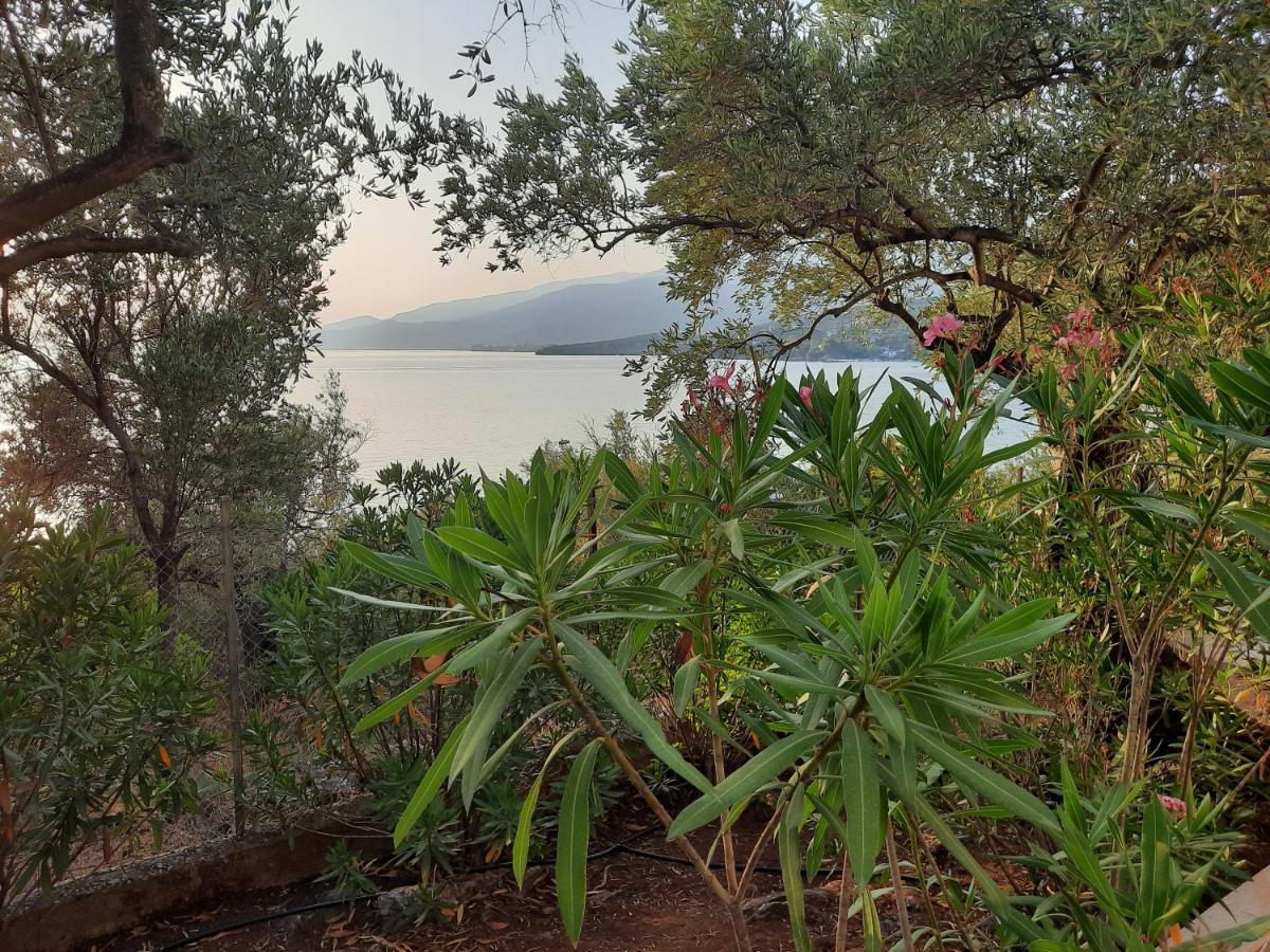 Villa Imelda Afissos Exterior photo
