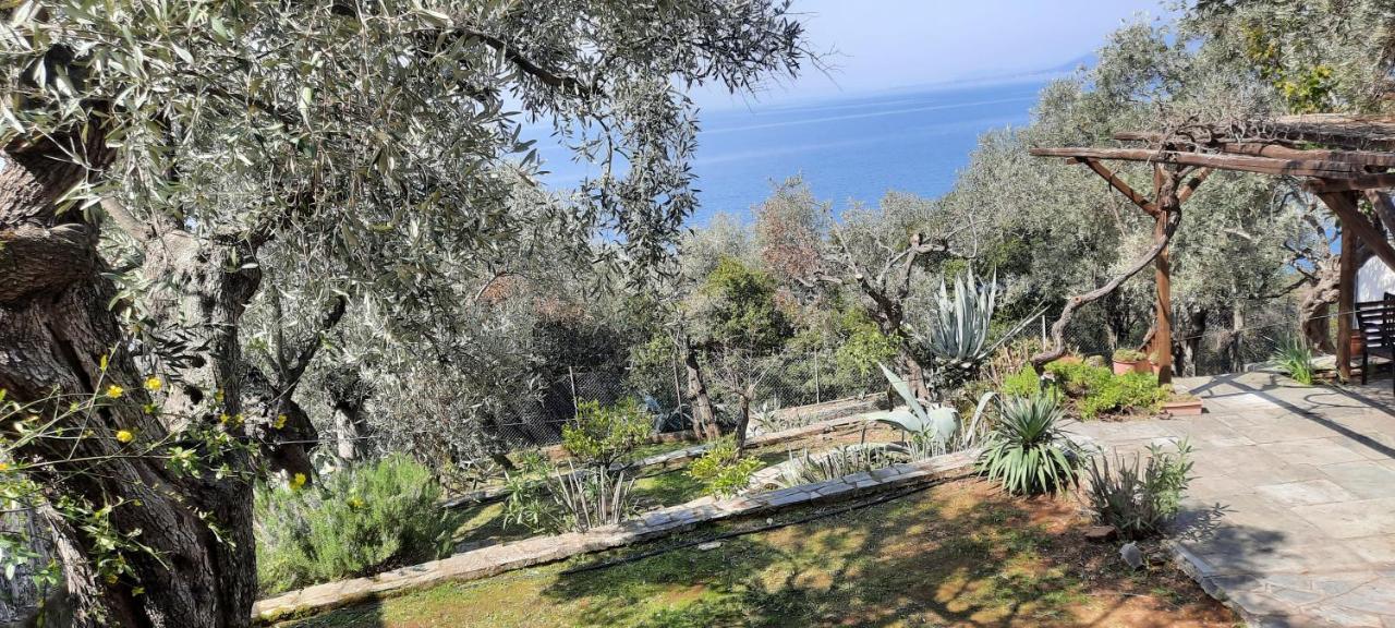 Villa Imelda Afissos Exterior photo